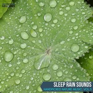 Sleep Rain Sounds - Handpicked Nature Music, Vol.3