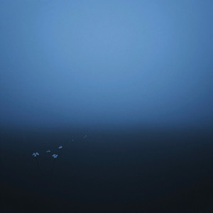 if only the past echoed a little softer