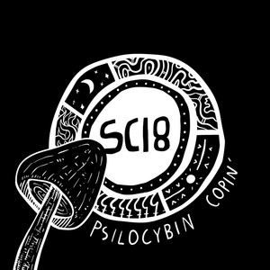 Psilocybin copin'