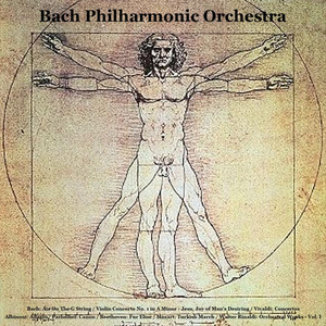 Violin Concerto No. 1 in A Minor, BWV 1041 - I. Allegro Moderato
