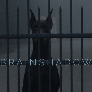 Brainshadow