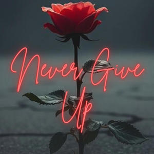 Never Give Up