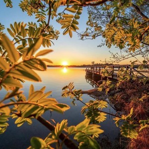 想某人 (DJ阿轩版)