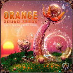 Orange Sound Seeds