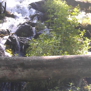 你心疼为了谁 (Live)