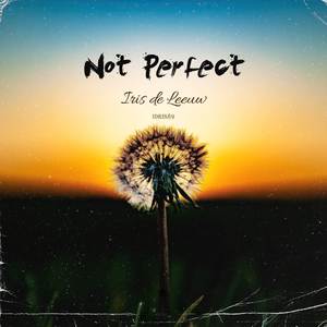 Not Perfect