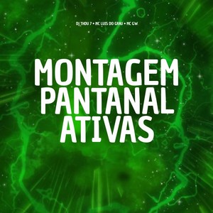 Montagem Pantanal Ativas (Explicit)