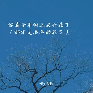 你看今年树上又开花了(那不是去年的花了)