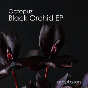 Sunset in Africa (Original Mix)