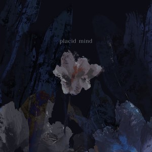 Placid Mind