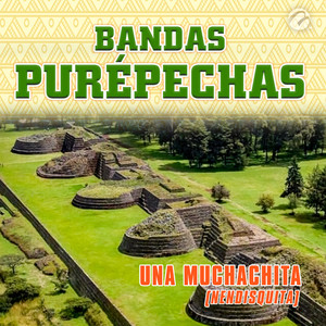 Una Muchachita(Nendisquita)