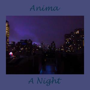 A Night