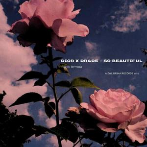 So Beautiful (feat. Drade) [Explicit]