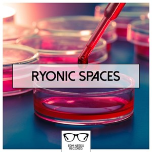 Ryonic Spaces