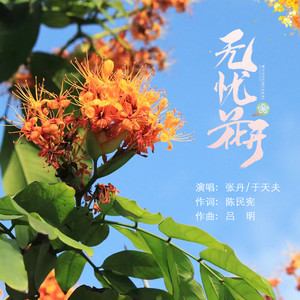 无忧花开 (伴奏)