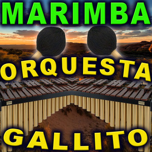 12 Exitos Marimberos