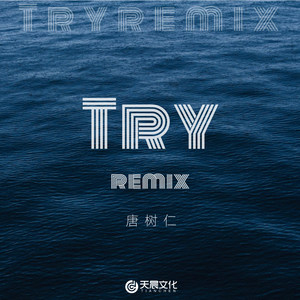 Try (Remix)