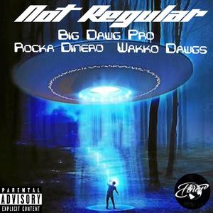 Not Regular (feat. Wakko Dawgs & Rocka Dinero) (Explicit)