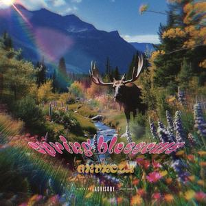 Never what it seems (feat. Dre Wave$) (Explicit)
