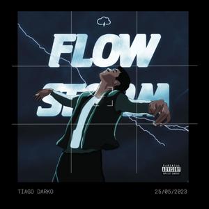 Flow Storm