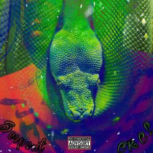 Serpent (feat. CRCL) (Explicit)