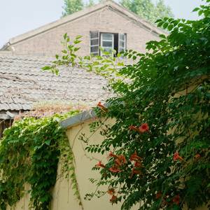 3 Love Win All Praise to Heaven (Explicit)