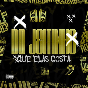 Do jeitinho que elas gosta (Explicit)