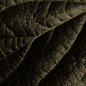 drum_solo_on_synths---L:f-R:a- (feat. faera)