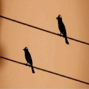 平行不交叉 (Prod by WayMen)