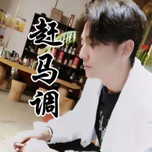 赶马调封面