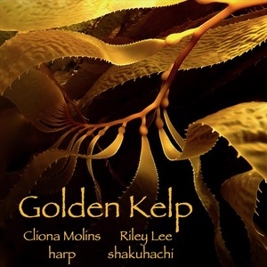 Golden Kelp