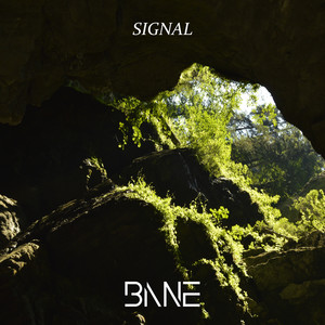 Signal