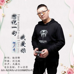 想说一句我爱你