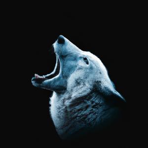 АУФ (WBBT Remix|Explicit)