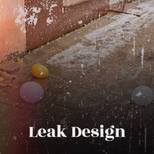 Leak Design