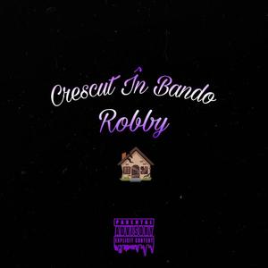 Crescut In Bando (feat. Robby) [Explicit]