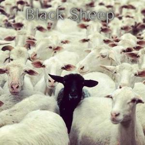 Black Sheep (Explicit)