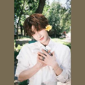 泪桥(刘宇)-鱼儿