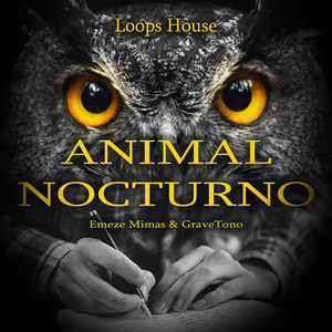 Animal Nocturno