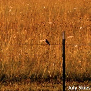 July Skies