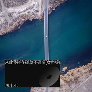 从此我碰花碰草不碰情 (女声版)