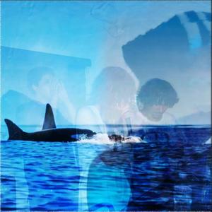 LIL SHAMU NATI0N (Explicit)