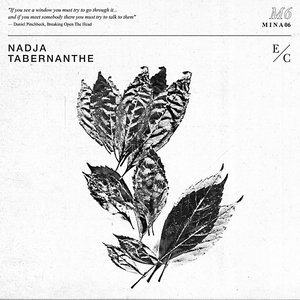 Tabernanthe