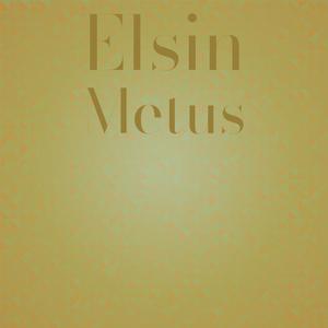 Elsin Metus