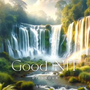 Good NIT (feat. David Pinhas)