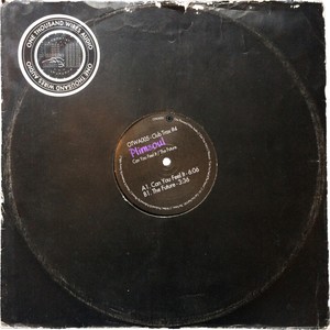 The Future (Original Mix)