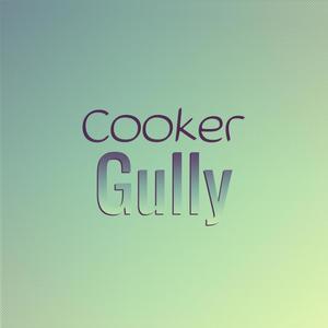 Cooker Gully