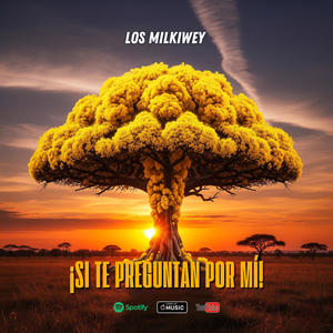 Si te preguntan por mí