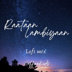 Raataan Lambiyaan - Lofi Mix