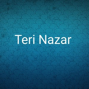 Teri Nazar